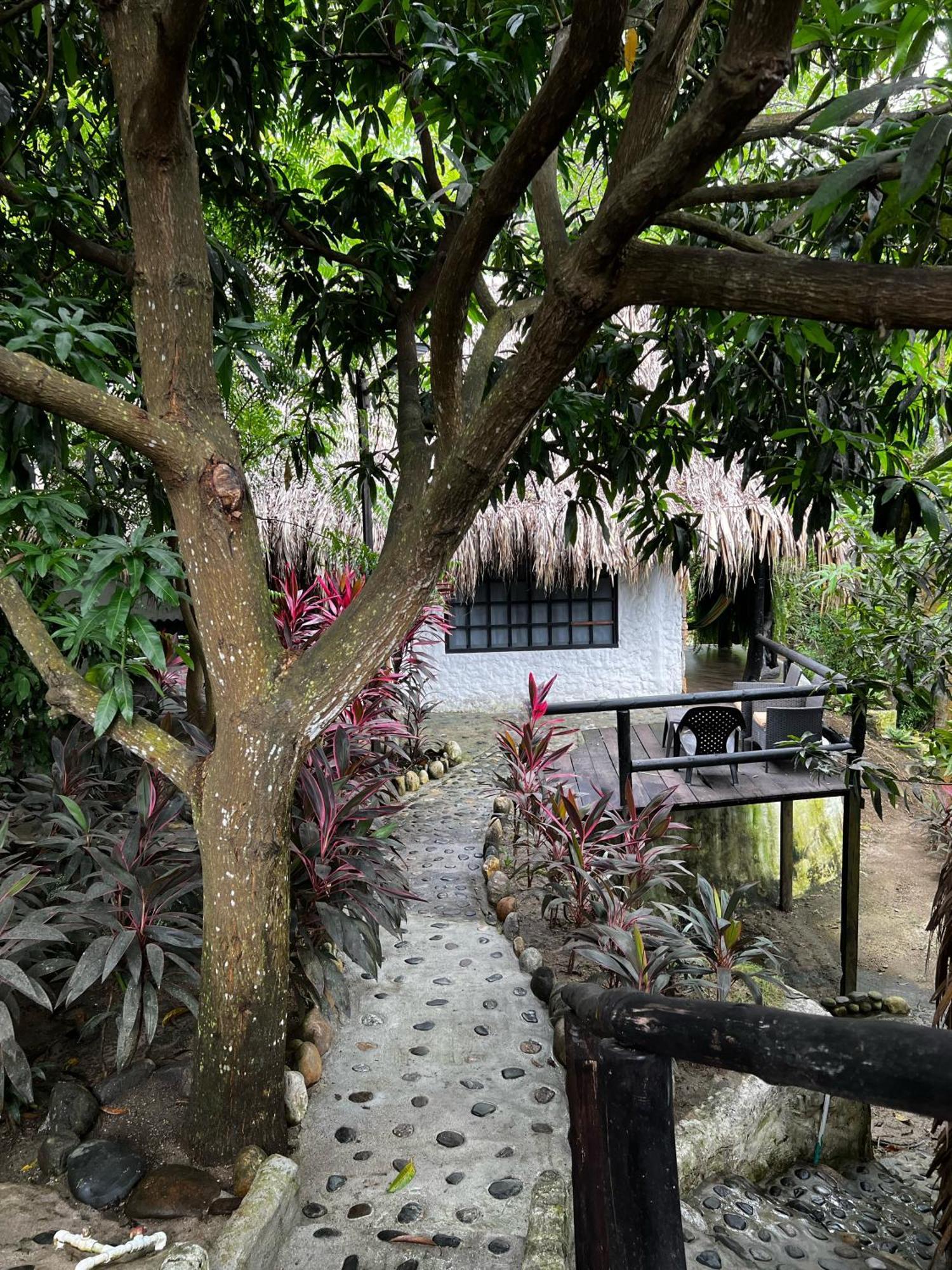 Quetzal Dorado Eco-Lodge By Mareygua El Zaino Dış mekan fotoğraf